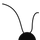 Belt system
