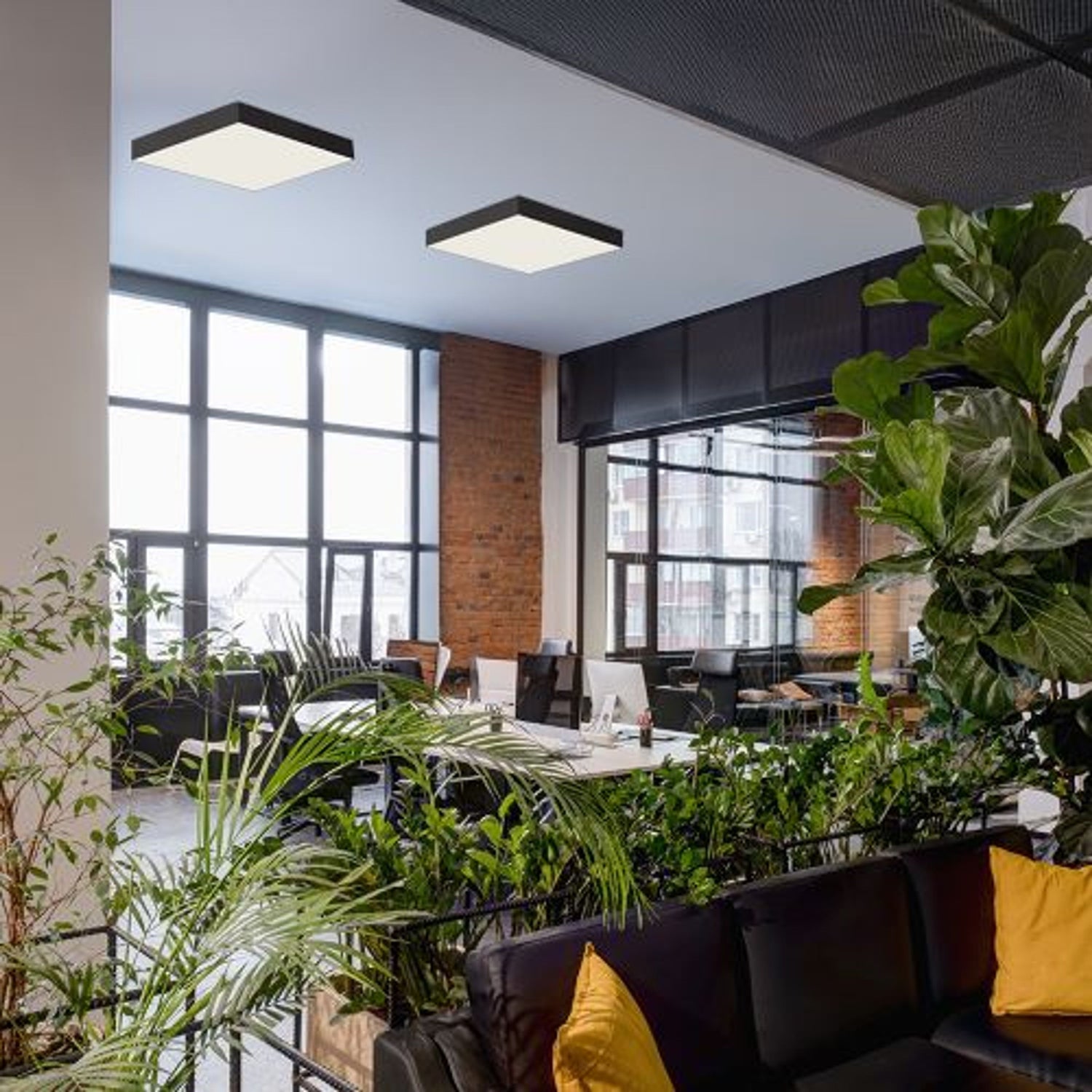 Stropne svjetiljke za dnevni boravak