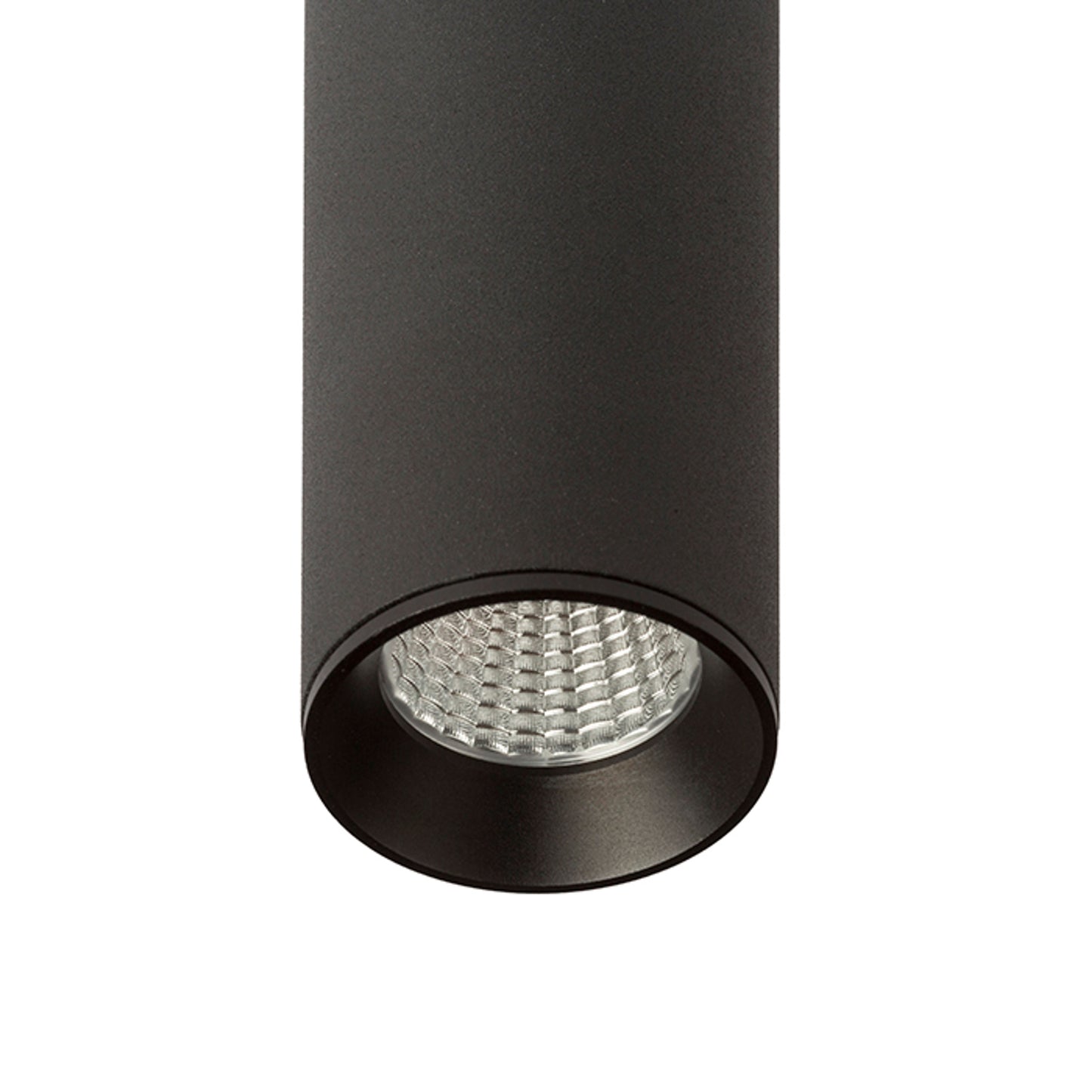 RENDL surface mounted lamp RIGA 18 ceiling black  230V LED 4W 38°  3000K R12451 3
