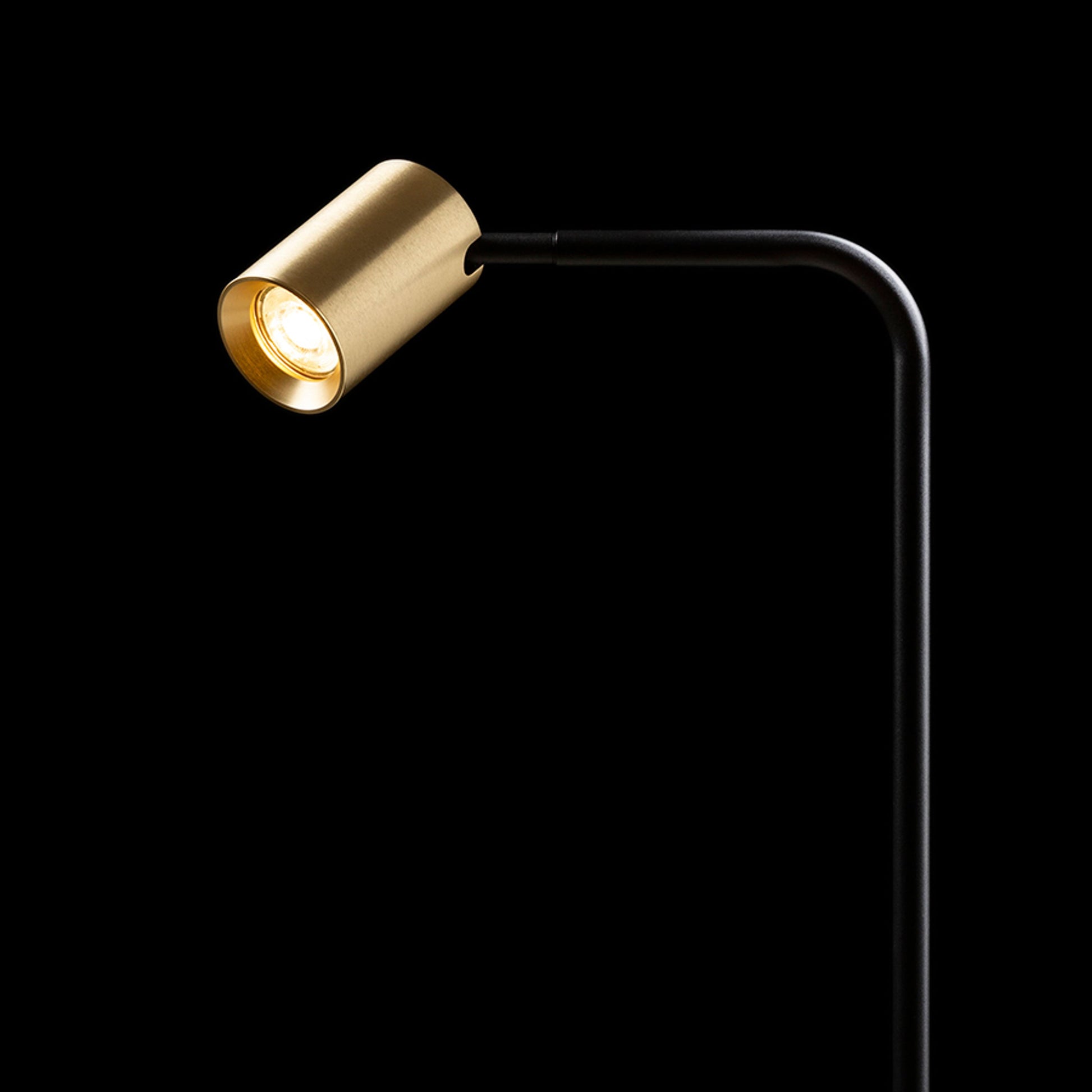 RENDL floor lamp FLYNN I floor  black/brushed brass 230V LED GU10 9W R14264 3