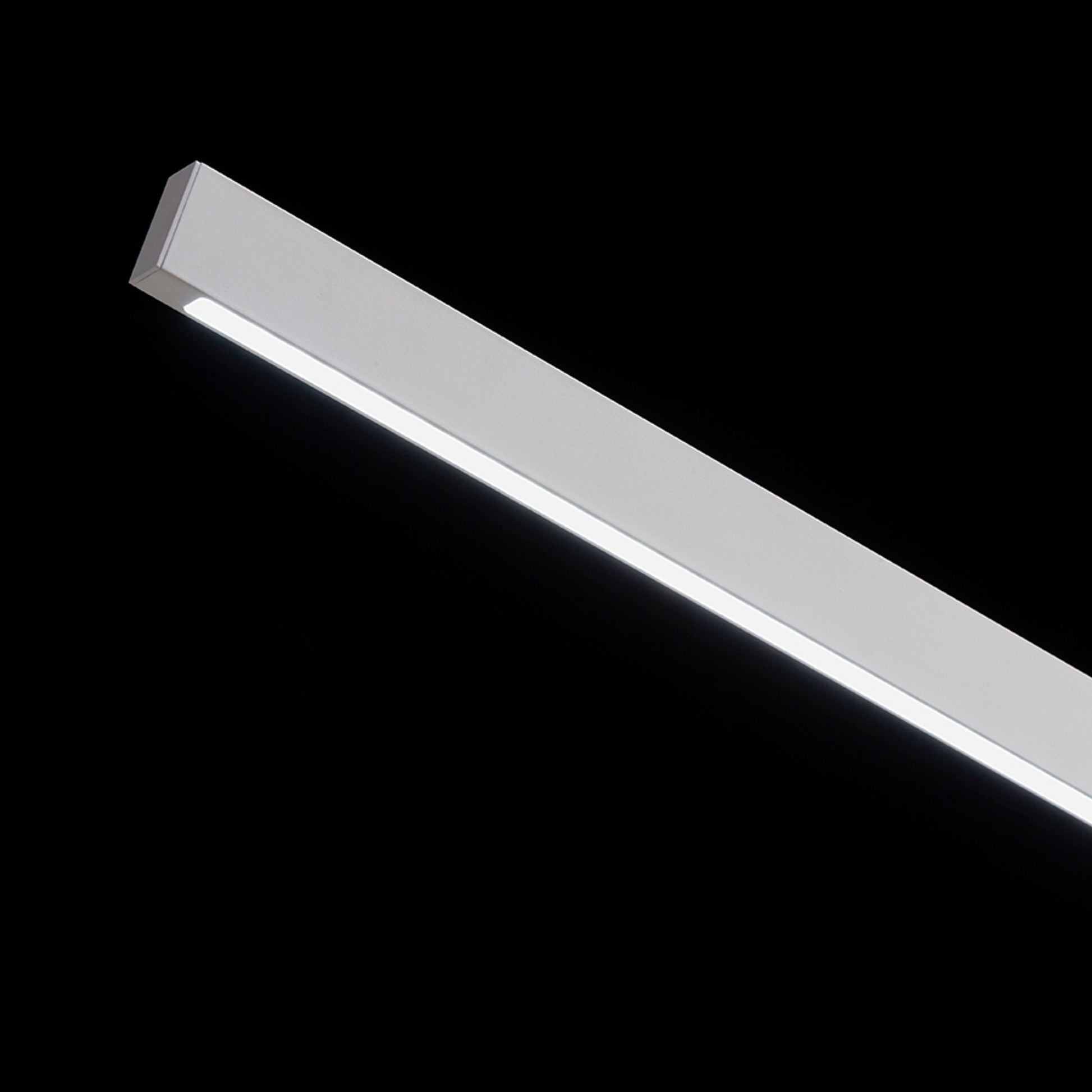 RENDL table lamp ROD DIMM table white  230V LED 5.5W  3000K 4000K 6500K R14294 8